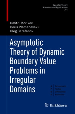 Asymptotic Theory of Dynamic Boundary Value Problems in Irregular Domains