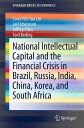 National Intellectual Capital and the Financial Crisis in Brazil, Russia, India, China, Korea, and South Africa【電子書籍】 Carol Yeh-Yun Lin