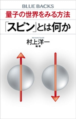 量子の世界をみる方法　「スピン」とは何か