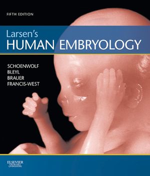 Larsen's Human EmbryologyŻҽҡ[ Gary C. Schoenwolf ]