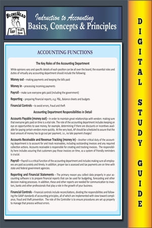 Accounting Basics, Concepts & Principles (Blokehead Easy Study Guide)