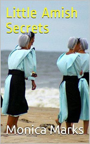 Little Amish Secrets