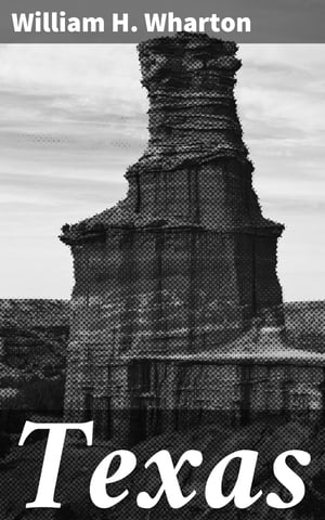 Texas Enriched edition. A Brief Account of the Origin, Progress and Present Stat...