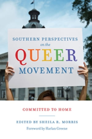 Southern Perspectives on the Queer Movement