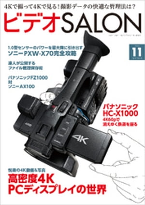 ビデオ SALON (サロン) 2014年 11月号【電子書籍】