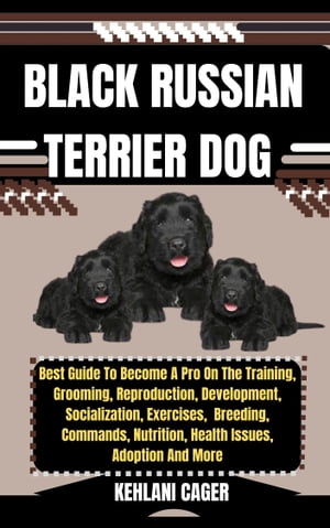 BLACK RUSSIAN TERRIER DOG