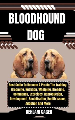 BLOODHOUND DOG