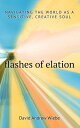Flashes of Elation: Navigating the World as a Sensitive, Creative Soul【電子書籍】[ Da...