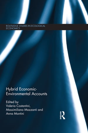 Hybrid Economic-Environmental Accounts