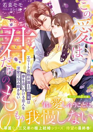 ڲʤ뻰ζ˾뺧꡼ۤΰϷΤΡ꡼ȹ۸Τλˤ̴ɤͤ򿼰ΥʤŻҽҡ[ ڥ ]