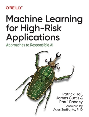 Machine Learning for High-Risk Applications