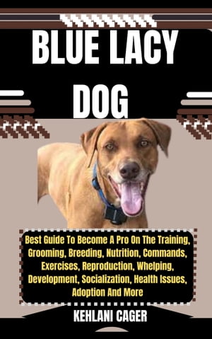 BLUE LACY DOG Best Guide To Become A Pro On The 