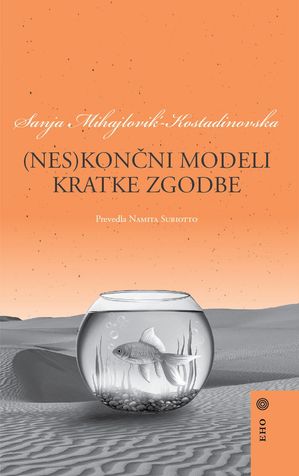 (Nes)končni modeli kratke zgodbe