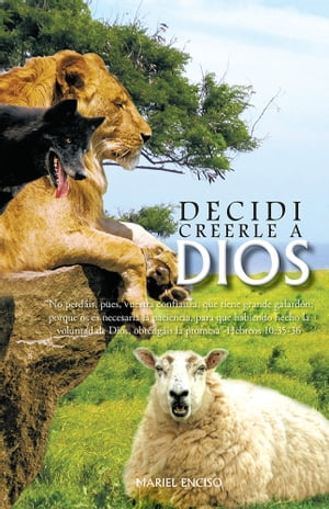 Decidi Creerle a Dios “No Perd?is, Pues, Vuestra Confianza, Que Tiene Grande Galard?n; Porque Os Es Necesaria La Paciencia, Para Que Habiendo Hecho La Voluntad De Dios, Obteng?is La Promesa”-Hebreos 10:35-36