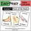 Italian Lesson 7: Parts of the Body