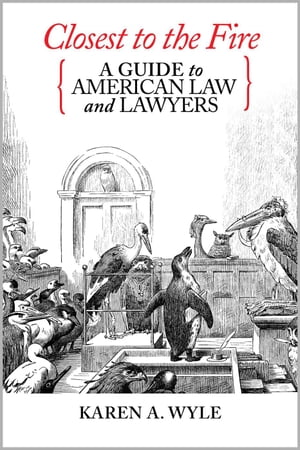 Closest to the Fire: A Guide to American Law and Lawyers