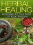 Herbal Healing Remedies for Your Most Common Illnesses