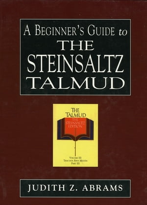 A Beginner's Guide to the Steinsaltz Talmud