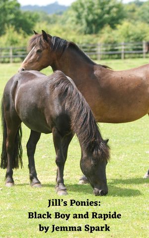 Jill's Ponies