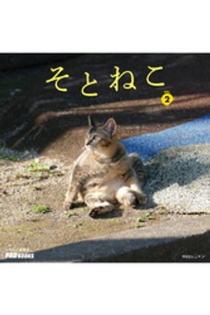 そとねこ　VOL.02