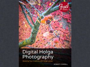 Digital Holga Photography Boosting Your Creativi