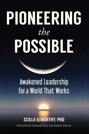 Pioneering the Possible Awakened Leadership for a World That Works