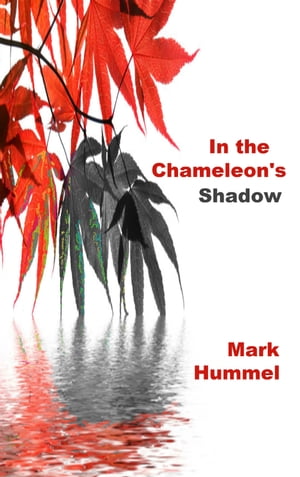 In the Chameleon's Shadow