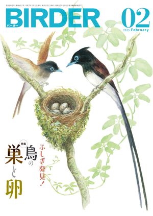 BIRDER2025年2月号【電子書籍】[ BIRDER編集部 ]