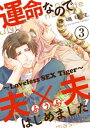 運命なので夫×夫はじめました　3～Loveless SEX Tiger～