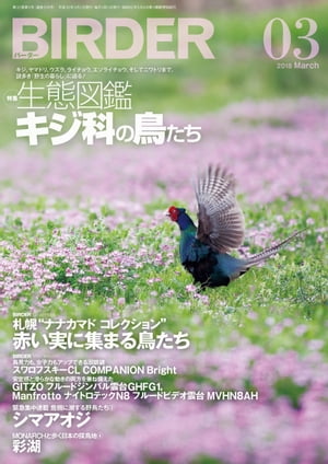 BIRDER2018年3月号