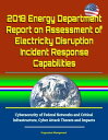 2018 Energy Department Report on Assessment of Electricity Disruption Incident Response Capabilities, Cybersecurity of Federal Networks and Critical Infrastructure, Cyber Attack Threats and Impacts【電子書籍】 Progressive Management