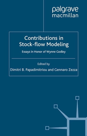 Contributions to Stock-Flow Modeling