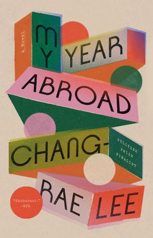 My Year Abroad A Novel