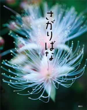 横塚眞己人