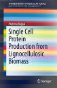 Single Cell Protein Production