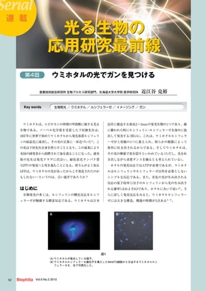 光る生物の応用研究最前線 : 第4回 ウミホタルの光でガンを見つける