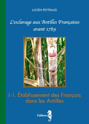 I-1 Etablissement des Français dans les Antilles