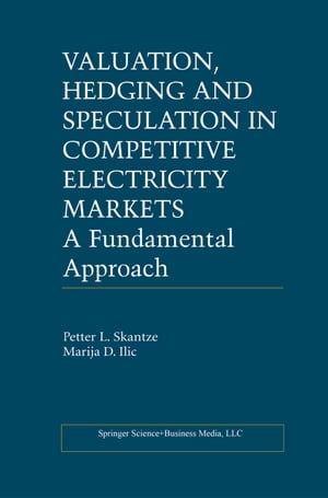 Valuation, Hedging and Speculation in Competitive Electricity Markets A Fundamental Approach
