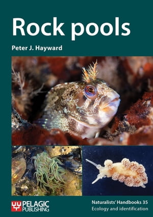 Rock poolsŻҽҡ[ Peter J. Hayward ]