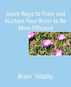 Learn Ways to Train and Nurture Your Brain to Be More Efficient