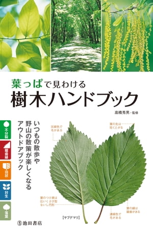 葉っぱで見わける 樹木ハンドブック（池田書店）