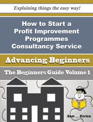 How to Start a Profit Improvement Programmes Consultancy Service Business (Beginners Guide)