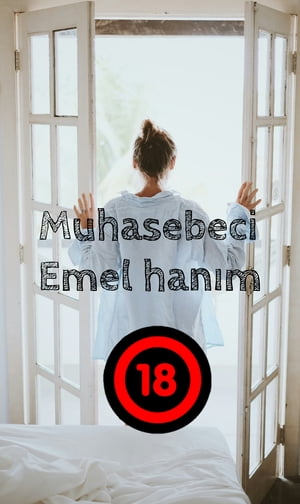 Muhasebeci Emel