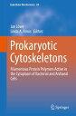 Prokaryotic Cytoskeletons Fila