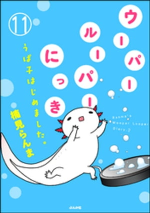 ウーパールーパーにっき うぱ子はじめました。（分冊版） 【第11話】