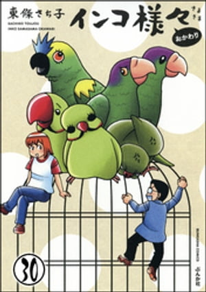 今日もインコ様々