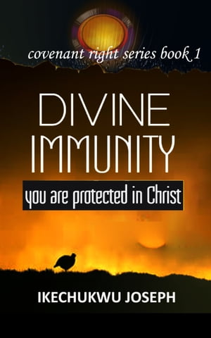 Divine Immunity