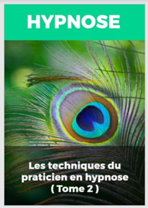 LES TECHNIQUES DU PRATICIEN EN HYPNOSE (TOME 2)