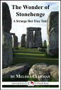 The Wonder of Stonehenge: A Strange But True 15-