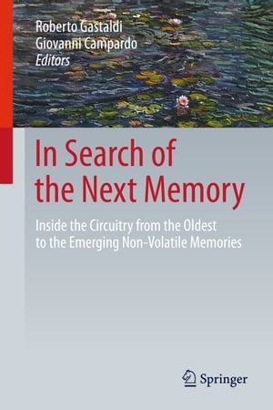 In Search of the Next Memory